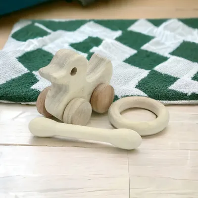 Organic & Healthy Pull Toy & Teethers - Duck, Dumbbell & Ring Shapes