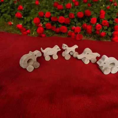 Neem Wooden Wheel Toys of 5 Beautiful Shapes for Toddlers